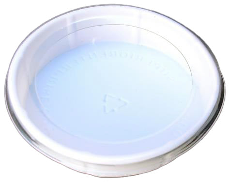 Large Disposable Worm Feeding Dish/ Water Dish for sale