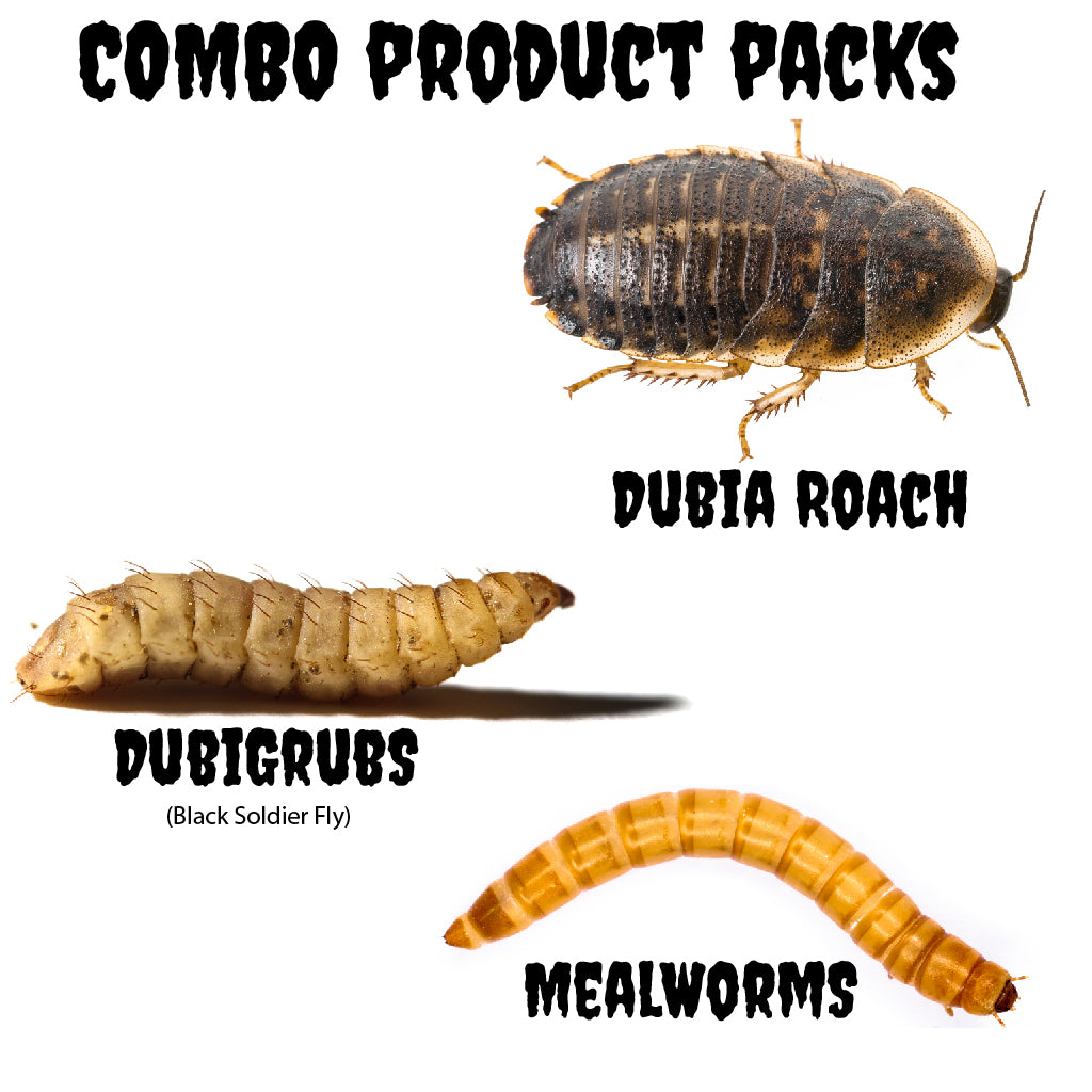 Dubia Roaches & DubiGrubs & Mealworms (Combo Product Packs)