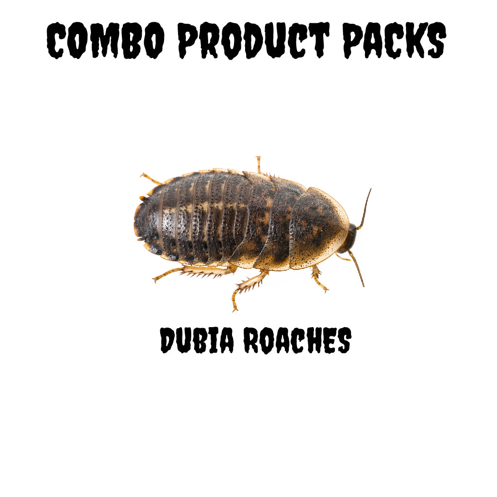 Dubia Roaches (Combo Product Packs)