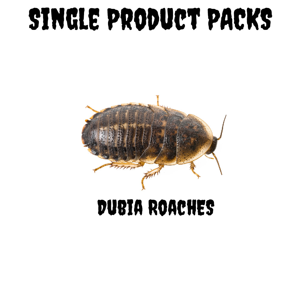 Dubia Roaches (Single Product Packs)